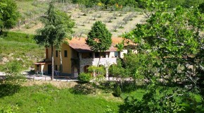 Agritourism - Podere FIGLINELLE