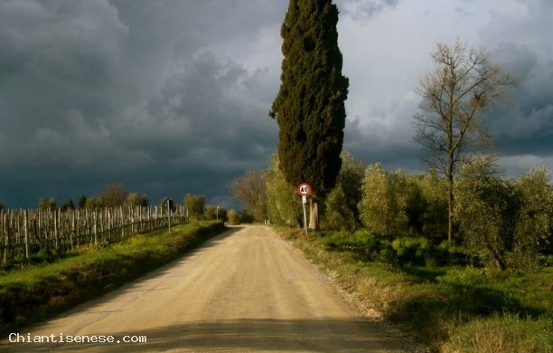 L'Eroica, only a very short path in Chianti