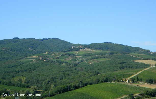 A Volpaia e santa Maria Novella