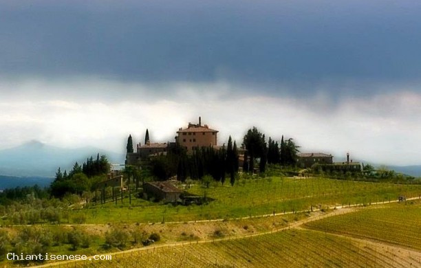 Castello San Donato in Perano