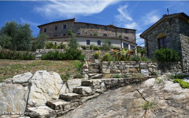 MONTERAPONI