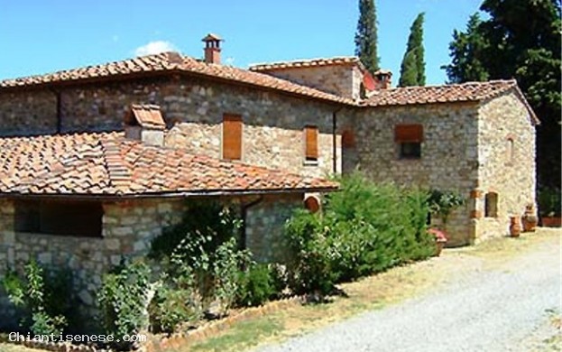 Masseto