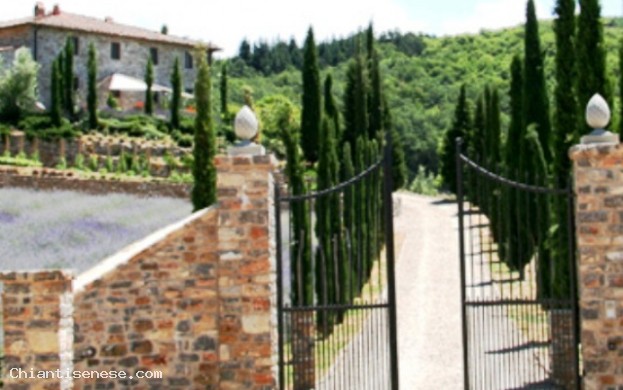 LA PETRAIA