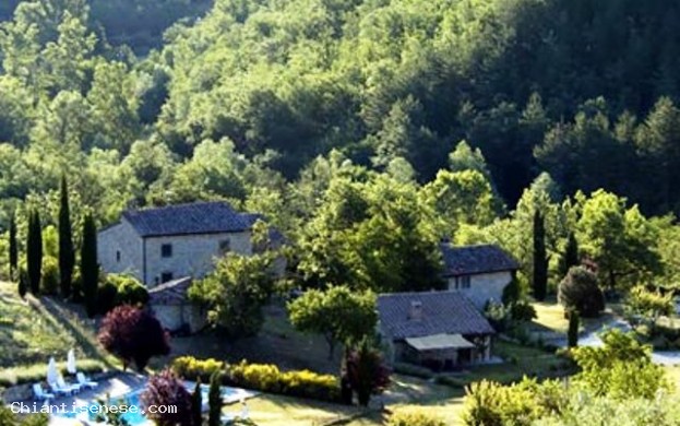 PODERE TERRENO ALLA VIA DELLA VOLPAIA