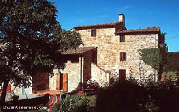 PODERE PRUNETO