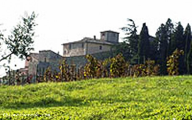 CASTELLO DI CACCHIANO