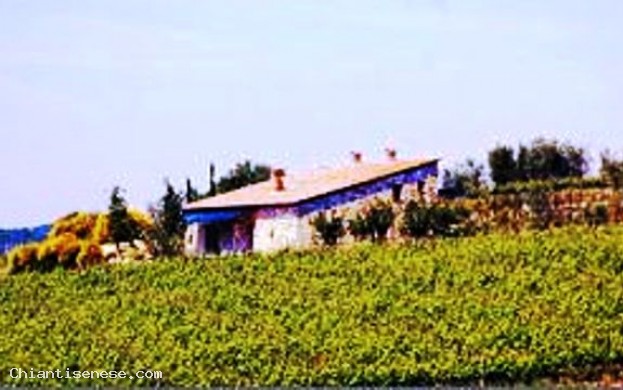 IL COLLE DI SAN MARCELLINO